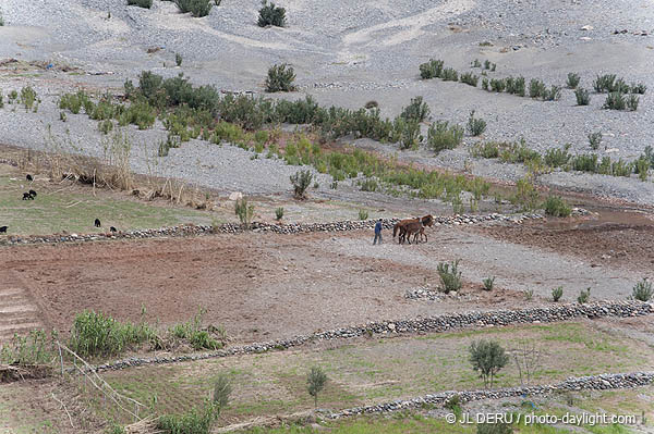 Maroc
Vallée de l'Ourika